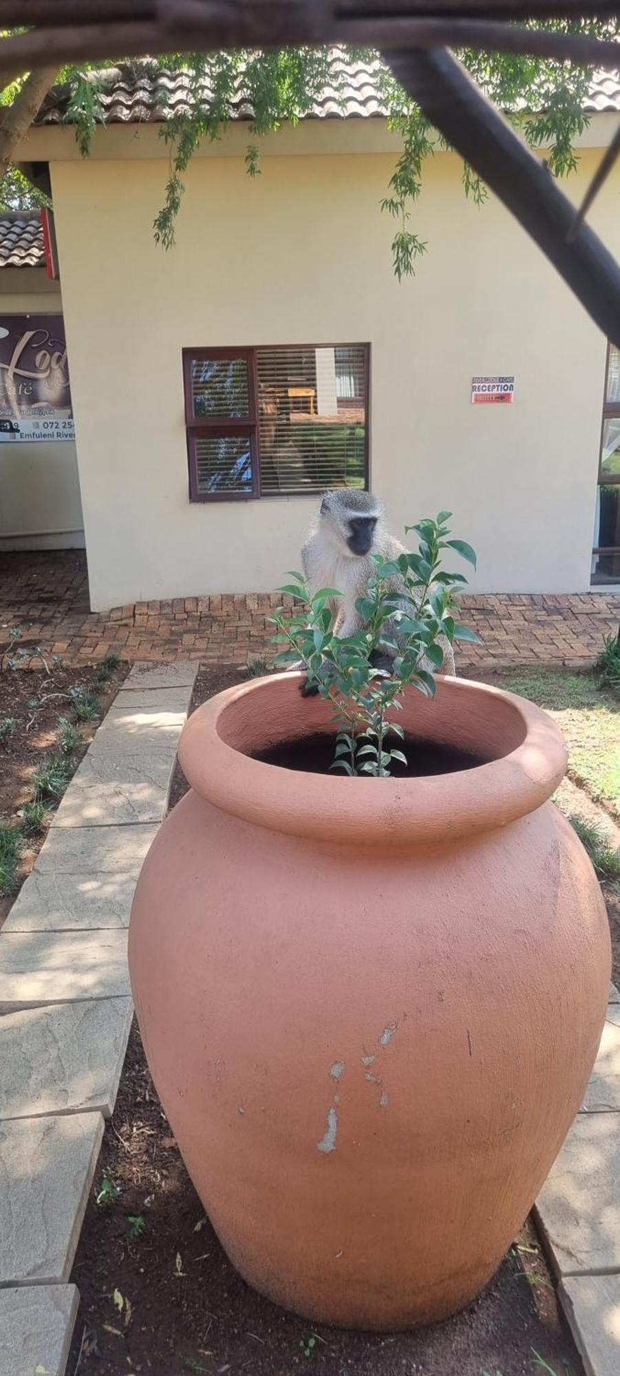 Lodge Emufuleni River Logde Vanderbijlpark